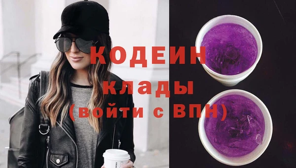 сатива Гусь-Хрустальный