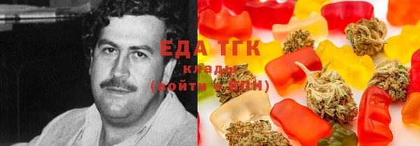 гашик Дмитров