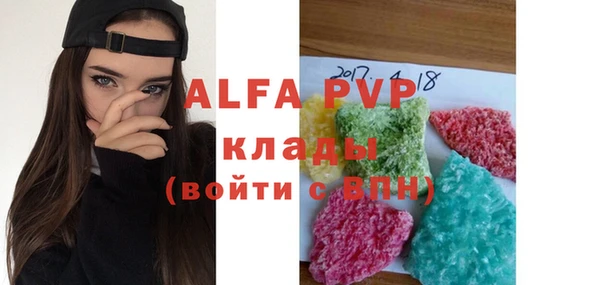 гашик Дмитров