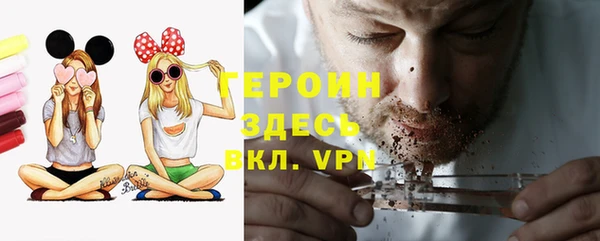 гашик Дмитров