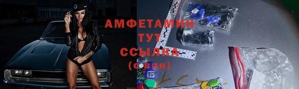 сатива Гусь-Хрустальный