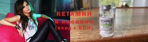 гашик Дмитров