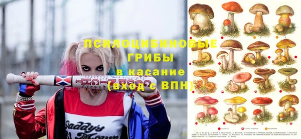 мяу мяу мука Дмитровск