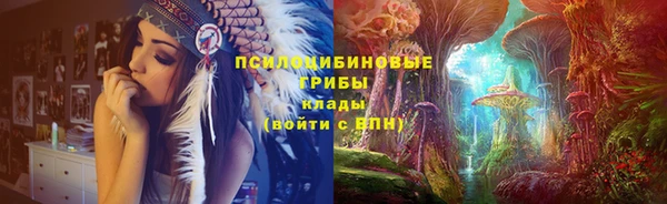 сатива Гусь-Хрустальный